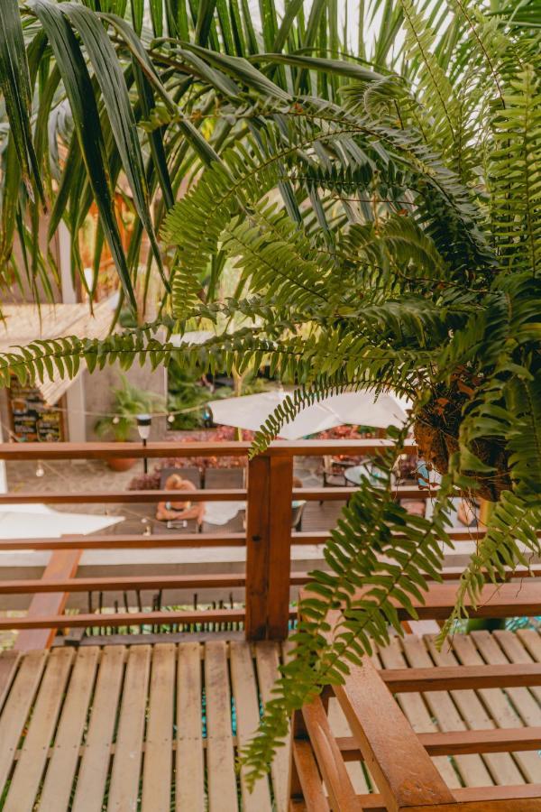 Villa Eden Palomino Luaran gambar